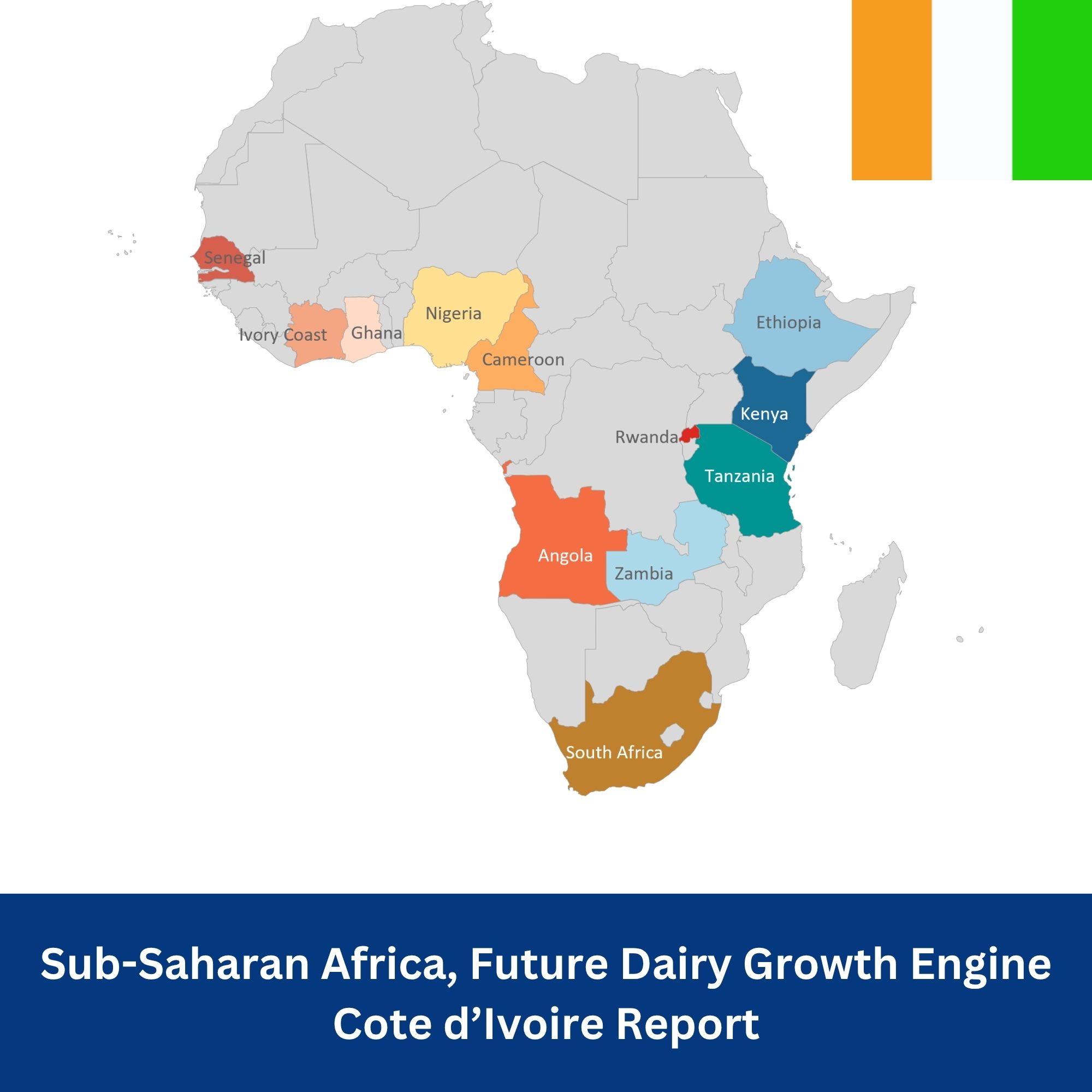 Sub-Saharan Africa Côte d'Ivoire Report, Future Dairy Growth Engine